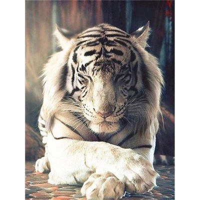 Pintura por Números Tigre Blanco