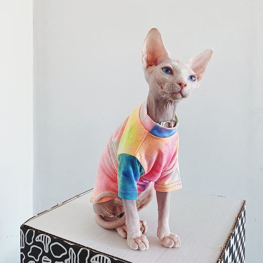 Ropa para Gatos sin Pelo Tie-Dye Arcoíris - Image 8