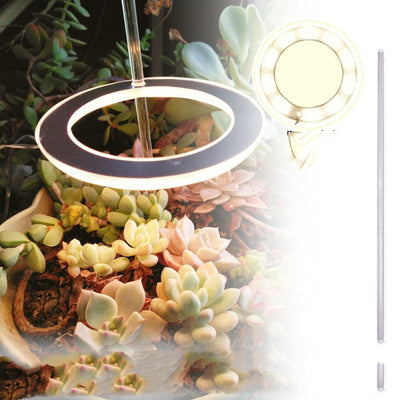 Lámpara LED de Espectro Completo para Plantas y Suculentas - Image 5