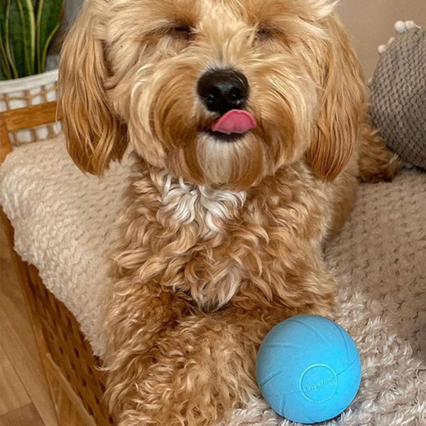 Juguete Interactivo para Gatos con Pelota Rodante Inteligente y Varita de Diversión