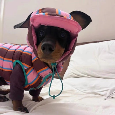 Chaleco Rayado para Mascotas Otoño e Invierno - Image 3