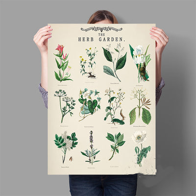 Lámina Vintage de Jardín de Hierbas Aromáticas con Ilustraciones Botánicas Educativas - Image 7