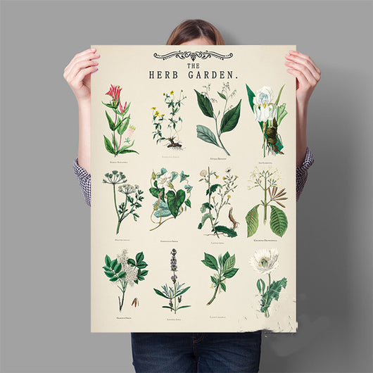 Lámina Vintage de Jardín de Hierbas Aromáticas con Ilustraciones Botánicas Educativas - Image 7