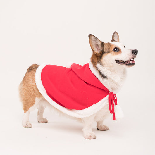 Capa Festiva Navideña para Perros y Gatos - Image 8