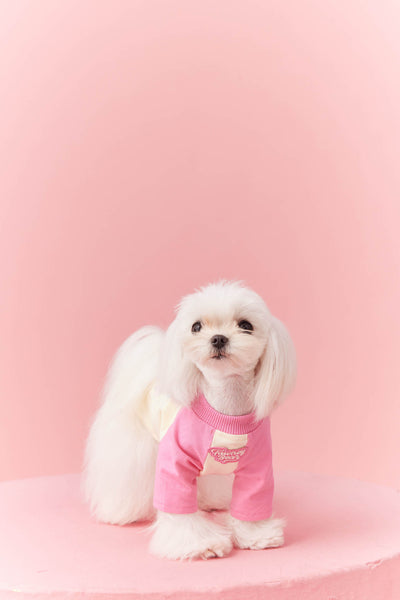 Ropa de Verano para Perros con Contraste de Colores - Image 20