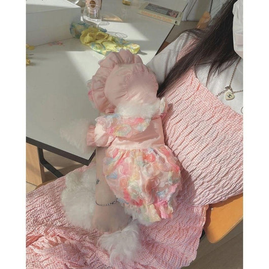Falda de Malla para Bichón Frisé - Diseño Teddy - Image 9