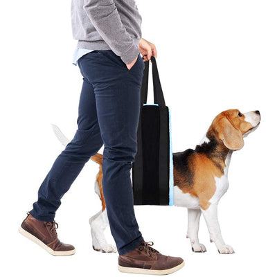 Arnés de Soporte para Patas Traseras - Ayuda de Movilidad para Perros Adultos y Rehabilitación - Image 8