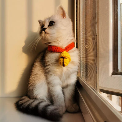 Lindo Collar para Gato Estilo Lana Británica - Image 12
