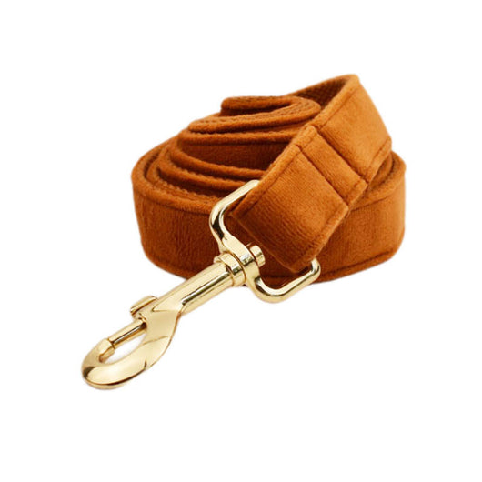 Collar de Perro Terciopelo Suave - Image 15
