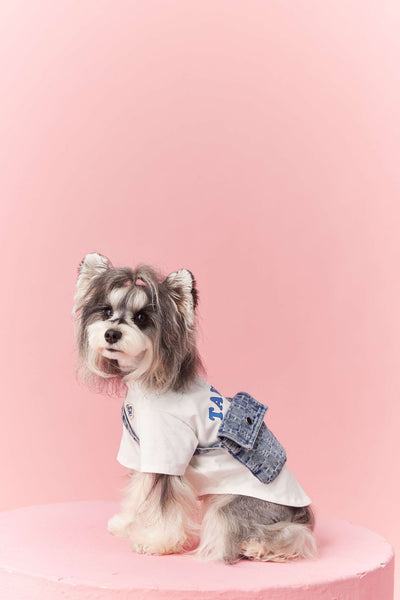 Ropa de Verano para Perros Pequeños - Teddy Schnauzer Bichón - Image 21