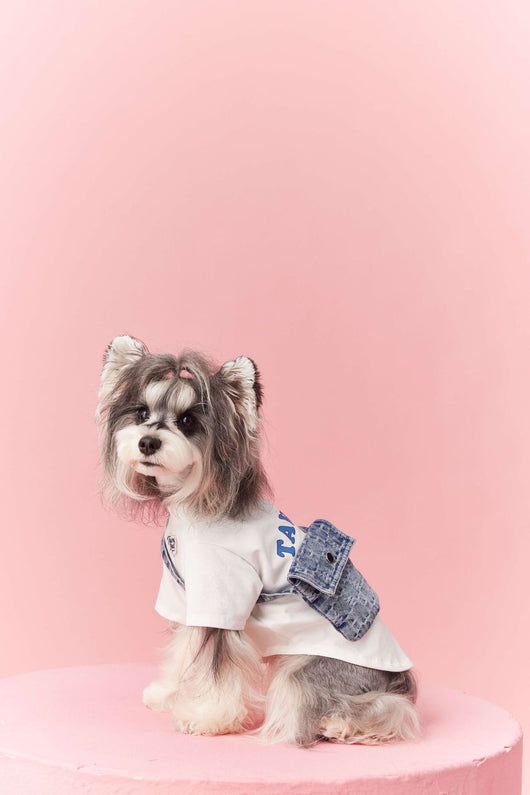 Ropa de Verano para Perros Pequeños - Teddy Schnauzer Bichón - Image 21