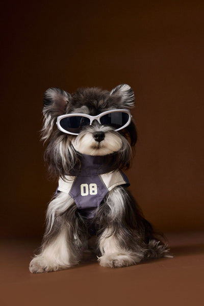 Ropa de Otoño para Perros Pequeños - Abrigos para Schnauzer, Teddy y York - Image 12