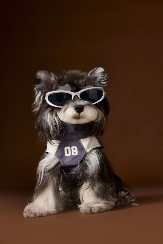 Ropa de Otoño para Perros Pequeños - Abrigos para Schnauzer, Teddy y York - Image 12