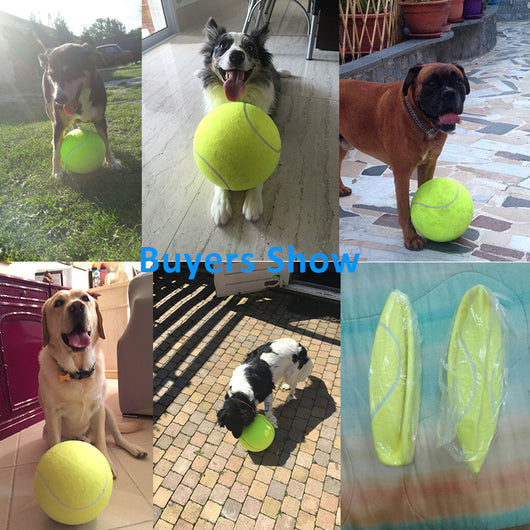 Large 8.5 inch (21.5 cm) yellow tennis ball, ideal for pet play or dog training. - Image 4