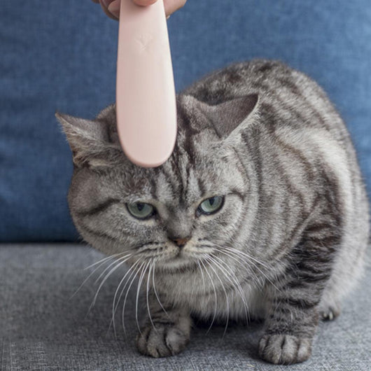 Peine Deslanador para Gatos y Perros - Cepillo Removedor de Pelo con Masajeador de Lengua - Image 7