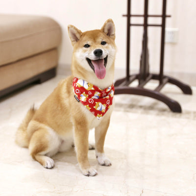 Pañuelo Triangular Absorbente para Perros - Image 10
