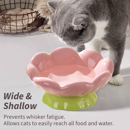 Comedero Elevado para Gatos de Cerámica Rosa - Diseño Inclinado Anti-Vómito y Fatiga de Bigotes - Image 10
