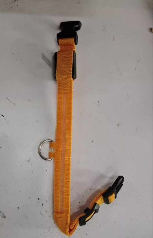 Collar de Seguridad LED para Mascotas - Image 8
