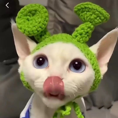 Gorro de Lana Tejido para Perros y Gatos - Accesorios Adorables para Mascotas - Image 10