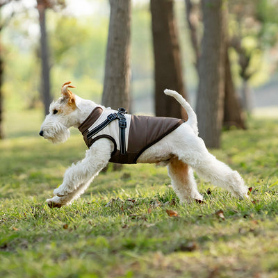 Chaleco Térmico Protector para Perros - Image 2