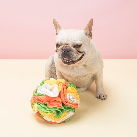 Pelota Interactiva Snuffle para Perros - Juguete Puzzle de Enriquecimiento Mental - Image 24