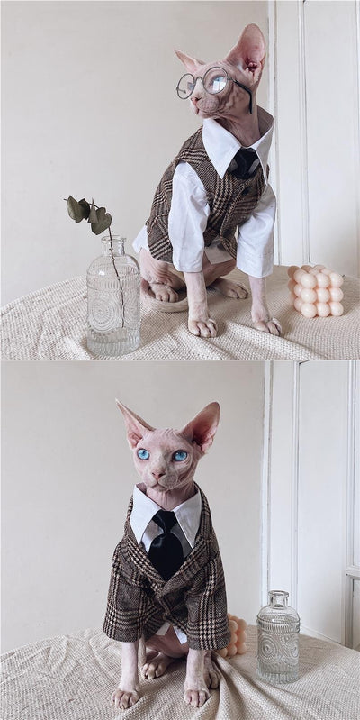 Traje Elegante para Gatos Sphynx y Razas sin Pelo - Image 12