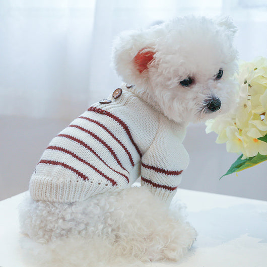 Conjunto de Abrigo Térmico para Perros y Gatos - Image 3