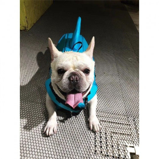 Chaleco Salvavidas para Perros - Traje de Baño Protector para Mascotas