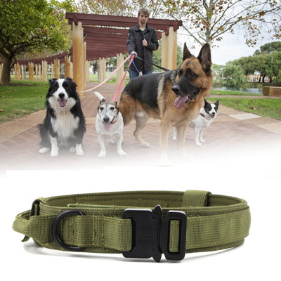 Collar de Nylon para Perros Medianos y Grandes - Image 7