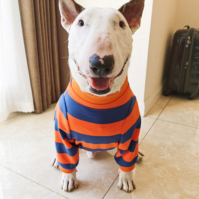 Playera a Rayas para Mascotas - Diseño Simple y Adorable - Image 6