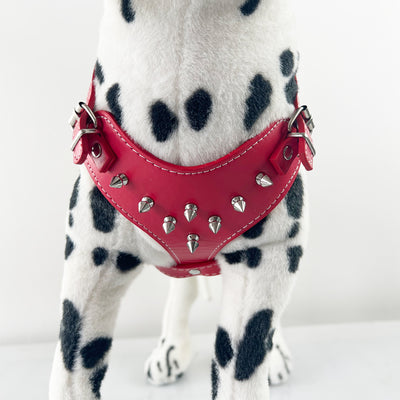 Arnés de Cuero con Tachuelas para Perros Pequeños - Chaleco Protector Negro - Image 11