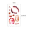 Makeup Stickers Tattoo Water Transfer For Halloween X214 6x10.5CM
