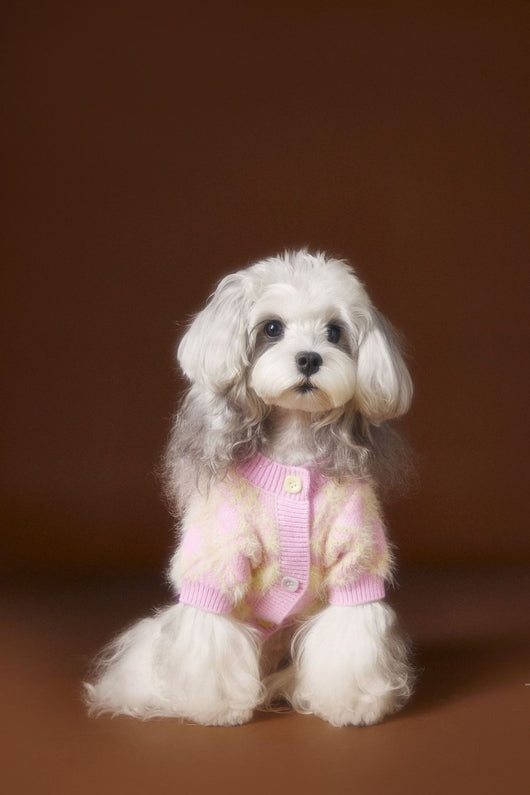 Suéter Cardigan Adorable para Perros Schnauzer y Bichón - Image 12