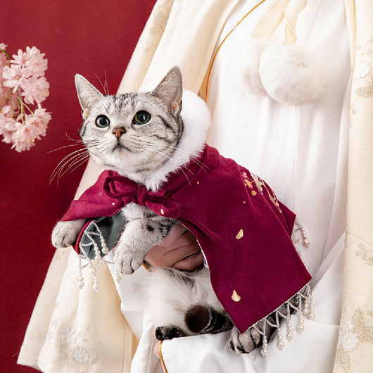 Abrigo Hanfu Tradicional para Mascotas - Gatos y Perros - Image 8