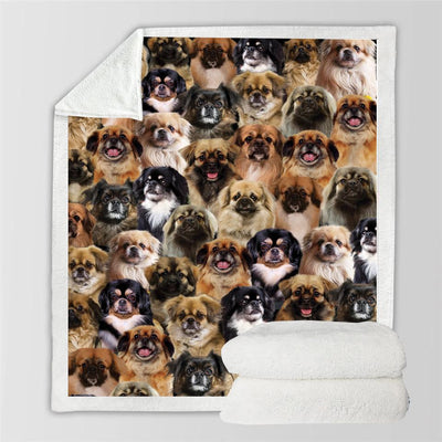 Manta de Franela Estampada para Perros de Diseño Moderno - Image 77