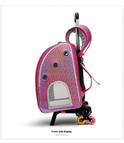 Mochila Transportadora Transparente Plegable para Perros Pequeños con Bolsillo Pañales - Image 16