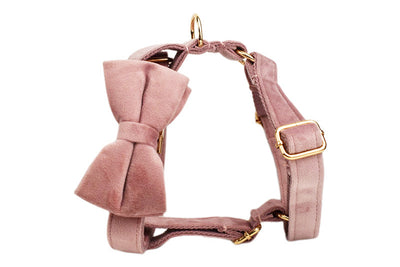 Collar para Perro Morado Claro con Cuerda Ajustable - Image 30
