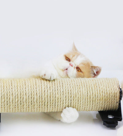 Rascador para Gatos de Sisal Resistente y Duradero - Image 3