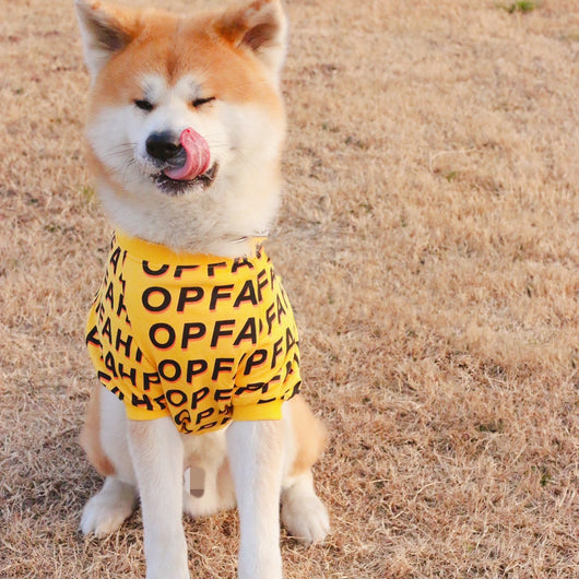 Camiseta Estampada con Letras para Mascotas - Diseño Minimalista - Image 8