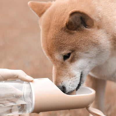 Vaso Portátil de Agua y Comida para Mascotas - Diseño Antiderrames - Image 4