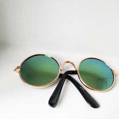 Gafas de Sol para Gatos - Lentes Protectoras Divertidas - Image 34