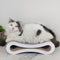 Juguete para Gatos Figura Ocho en Cartón Corrugado