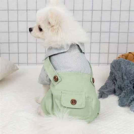 Ropa Ligera para Mascotas - Abrigo Primavera y Otoño para Perros y Gatos - Image 8