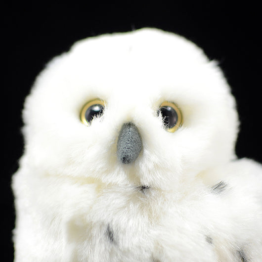 Búho Blanco de Peluche Suave - Muñeco Decorativo Adorable - Image 3