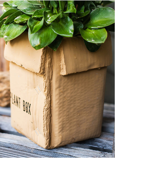 Maceta Creativa de Papel Cemento para Plantas de Interior y Balcón - Image 10