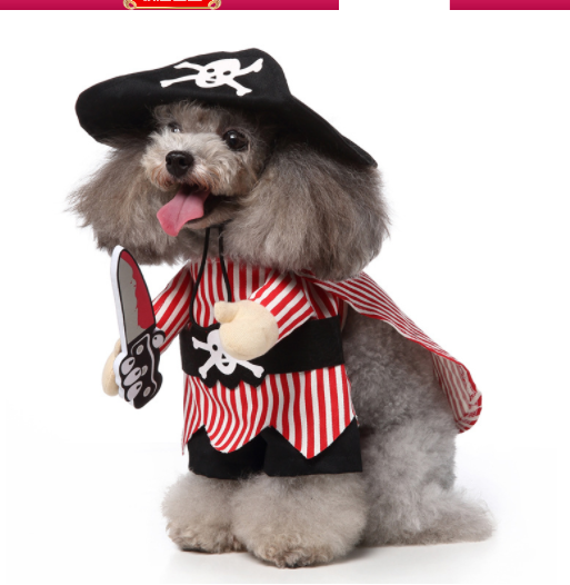 Disfraz para Mascotas Bípedo Divertido - Ropa de Perro para Halloween y Navidad - Image 12