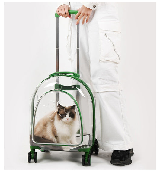 Mochila Transportadora Panorámica para Mascotas con Ventana Transparente - Image 18