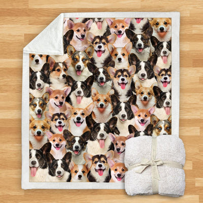 Manta de Franela Estampada para Perros de Diseño Moderno - Image 33