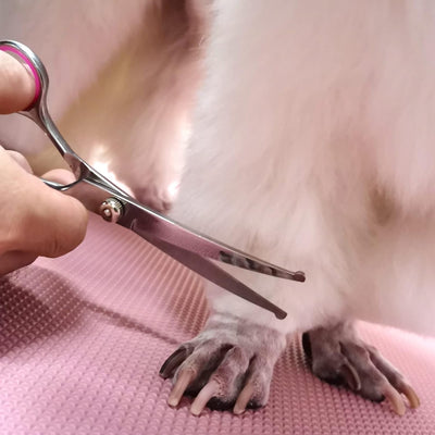 Kit Profesional de Tijeras para Aseo de Mascotas con Puntas de Seguridad - Image 11