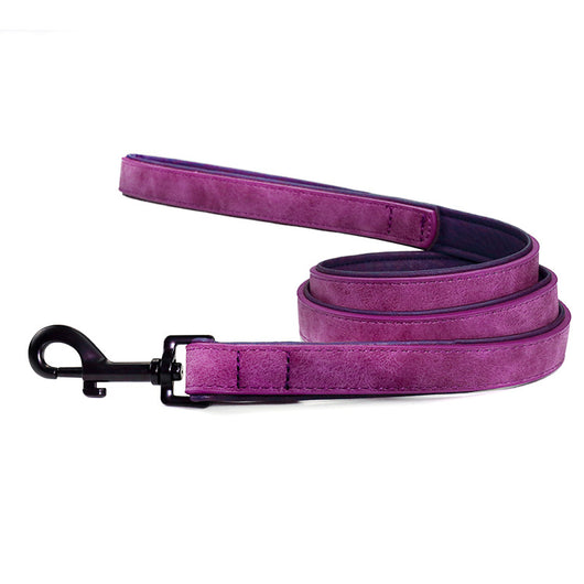 Correa de Cuero Resistente para Perros - Antihalón Premium - Image 4
